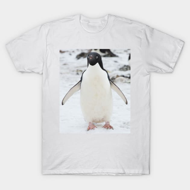 An Adelie penguin, from Antartica T-Shirt by fparisi753